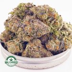 Buy Cannabis Pink Rockstar AAAA at MMJ Express Online Shop