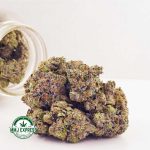 Buy Cannabis Pink Rob Ford AAAA+, Craft at MMJ Express Online Shop