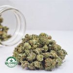 Buy Cannabis Pink Champagne AAAA (Popcorn Nugs) MMJ Express Online Shop