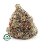 Buy Cannabis Galactic Gas AAA at MMJ Express Online Shop