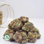 Buy Cannabis Galactic Gas AAA at MMJ Express Online Shop