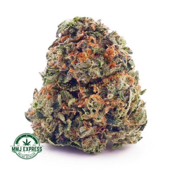 Buy Cannabis Maui Wowie AAA at MMJ Express Online Shop