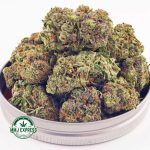 Buy Cannabis Maui Wowie AAA at MMJ Express Online Shop