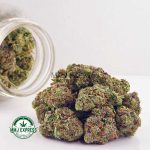 Buy Cannabis Maui Wowie AAA at MMJ Express Online Shop