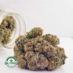 Buy Cannabis White Widow AAA at MMJ Express Online Shop