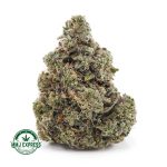 Buy Cannabis Supreme Gas Mask AAAA+, Craft at MMJ Express Online Shop