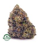 Buy Cannabis Fucking Incredible AAAA+, Craft at MMJ Express Online Shop