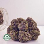 Buy Cannabis Fucking Incredible AAAA+, Craft at MMJ Express Online Shop