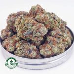 Buy Cannabis King Kong AAA at MMJ Express Online Shop