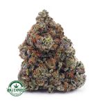 Buy Cannabis Alaskan Thunder Fuck AAAA at MMJ Express Online Shop