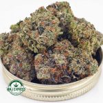 Buy Cannabis Alaskan Thunder Fuck AAAA at MMJ Express Online Shop