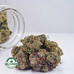 Buy Cannabis Alaskan Thunder Fuck AAAA at MMJ Express Online Shop