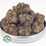 Buy Cannabis OG Octane AAAA+, Craft at MMJ Express Online Shop