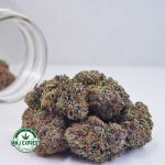 Buy Cannabis Island Pink Kush AAAA+, Craft at MMJ Express Online Shop