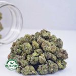 Buy Cannabis Atomic Pink AAAA (Popcorn) at MMJ Express Online Shop