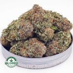 Buy Cannabis Death Bubba AAA at MMJ Express Online Shop