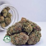 Buy Cannabis Death Bubba AAA at MMJ Express Online Shop