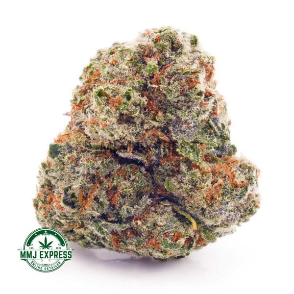 Buy Cannabis AK-47 AA at MMJ Express Online Shop