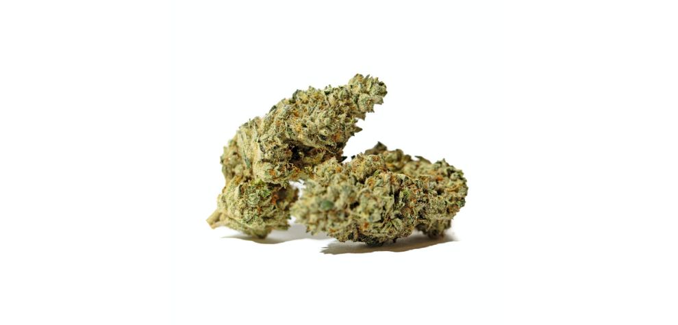 Dos i Dos is one of the best strains you can buy online in Canada today. It has incredible effects, aroma, flavour and high THC.