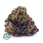 Buy Cannabis Lemon Sour Diesel AA at MMJ Express Online Shop