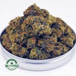Buy Cannabis Lemon Sour Diesel AA at MMJ Express Online Shop