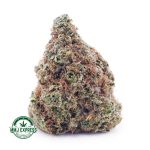 Buy Cannabis Astroboy AA at MMJ Express Online Shop