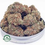 Buy Cannabis Astroboy AA at MMJ Express Online Shop