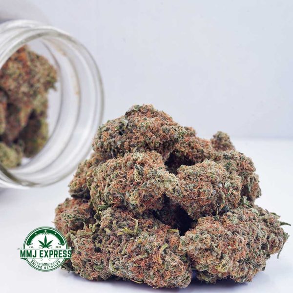 Buy Cannabis Astroboy AA at MMJ Express Online Shop