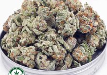 Buy Cannabis Ice Cream Cookies AAAA (Popcorn Nugs) at MMJ Express Online Shop