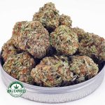 Buy Cannabis Lemon Mintz AAA at MMJ Express Online Shop