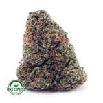 Buy Cannabis Guava Cookies AAA at MMJ Express Online Shop