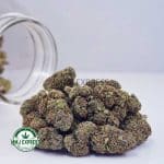 Buy Cannabis Guava Cookies AAA at MMJ Express Online Shop
