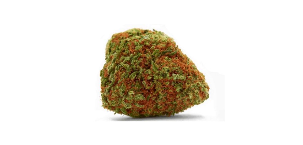 The buzz comes in with uplifting effects and leaves you in a happy mood. Also, it can trigger your creative nerves which is not a common aspect in potent Indica strains. 