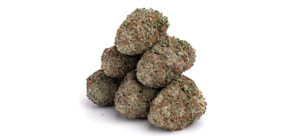 Green Crack weed delivers intense Sativa effects that kick in almost immediately after a few puffs. If you're not careful, the effects may catch you as a surprise. 