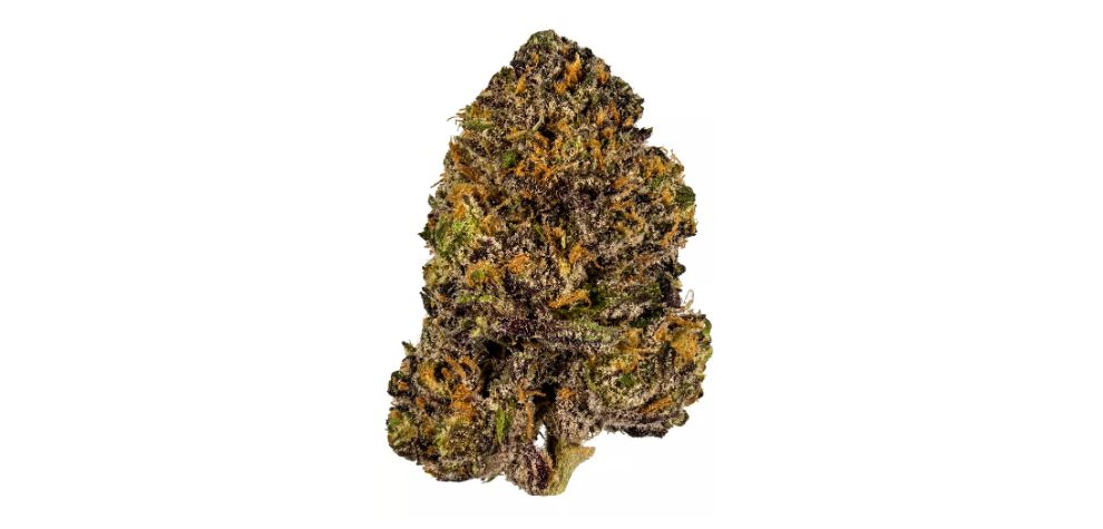 It's not exactly known what strains were crossed to create the Grand Daddy Purps strain. But to ensure all bases are covered, we will briefly examine the strains stoners believe gave us this premium bud.