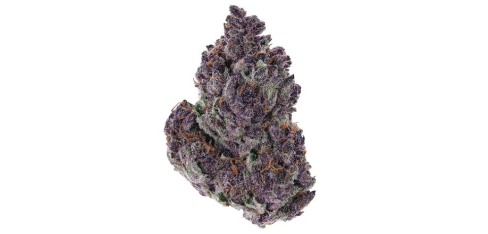 Going by its name, you probably already have a mental picture of what this strain's buds look like. Grand Daddy Purps strain produces large, dense nugs, typical of indica-dominant hybrids.