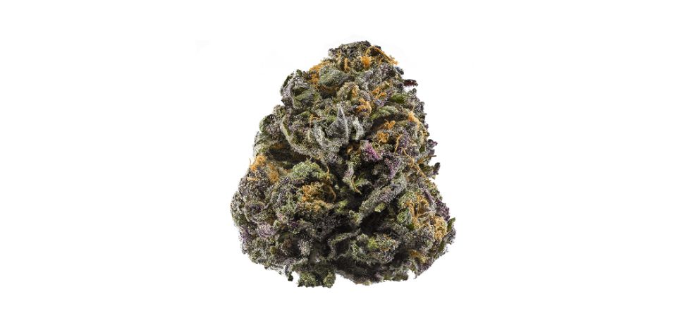 Grand Daddy Purps, also known as Grand Daddy Purple, Grand Daddy Purple Kush, Purple, or simply GDP, is among the most iconic buds in the Canadian weed scene. This strain achieved legendary status for its beauty, effects, aroma and high.