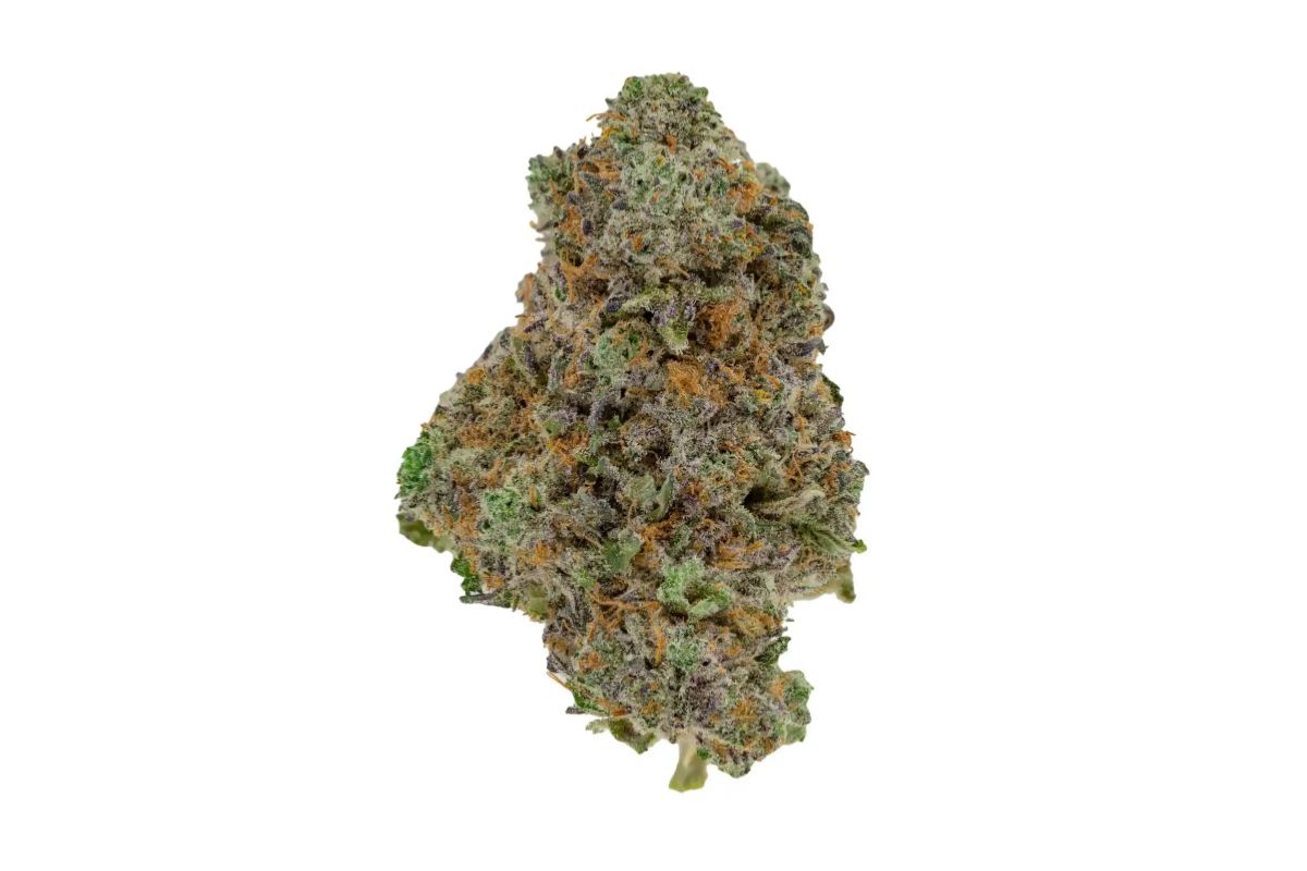 Don't want to associate with Crack but are looking to explore its potential? Green Crack strain has all that! Try this strain today & you won't regret it. 