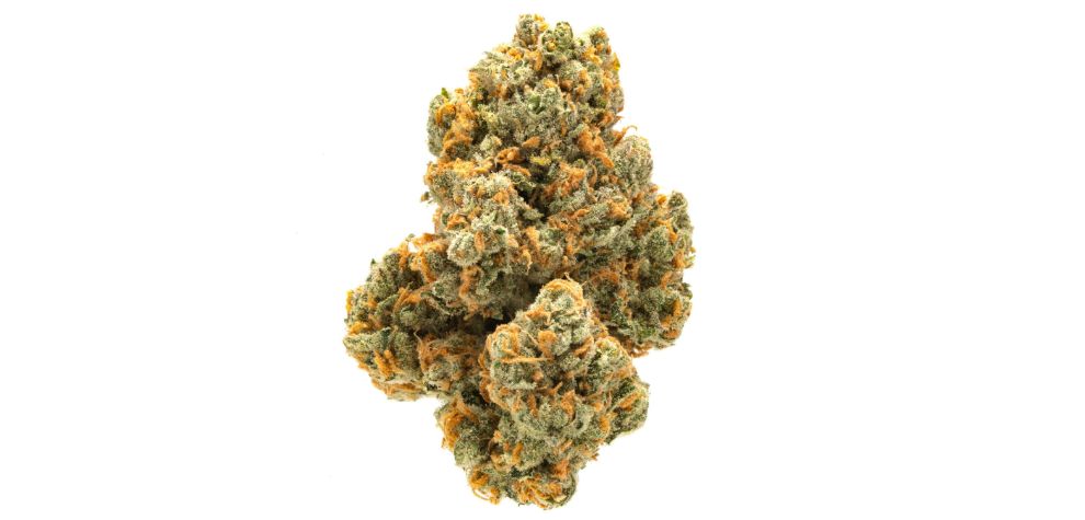 Just like many other cannabis strains, Green Crack has an ambiguous history that might leave you shocked. 