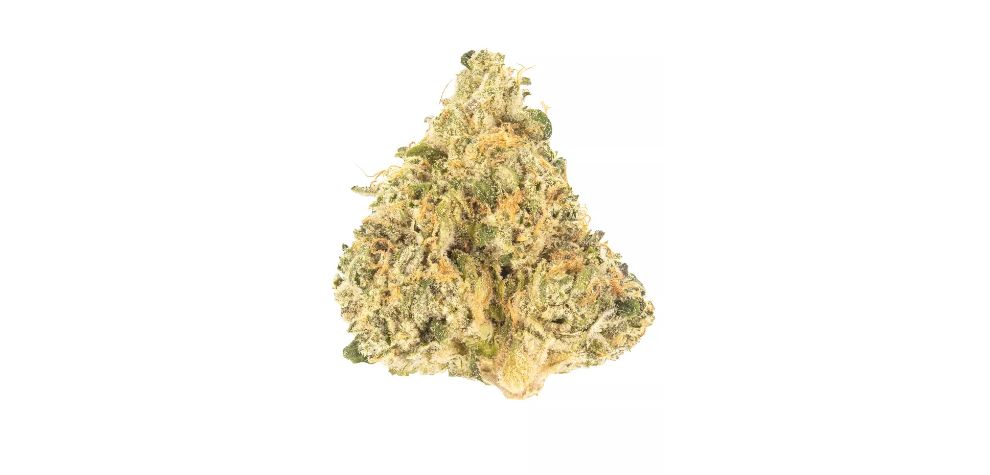 This strain is said to be a cross between Chemdawg and Super Skunk. Both are legendary strains that have spent over three decades being on the top of the cannabis world.