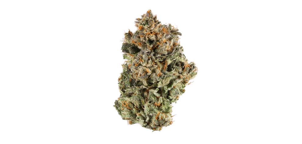 You're ready to buy cannabis online from MMJ Express. Here are some of our best-selling products you must try out ASAP!