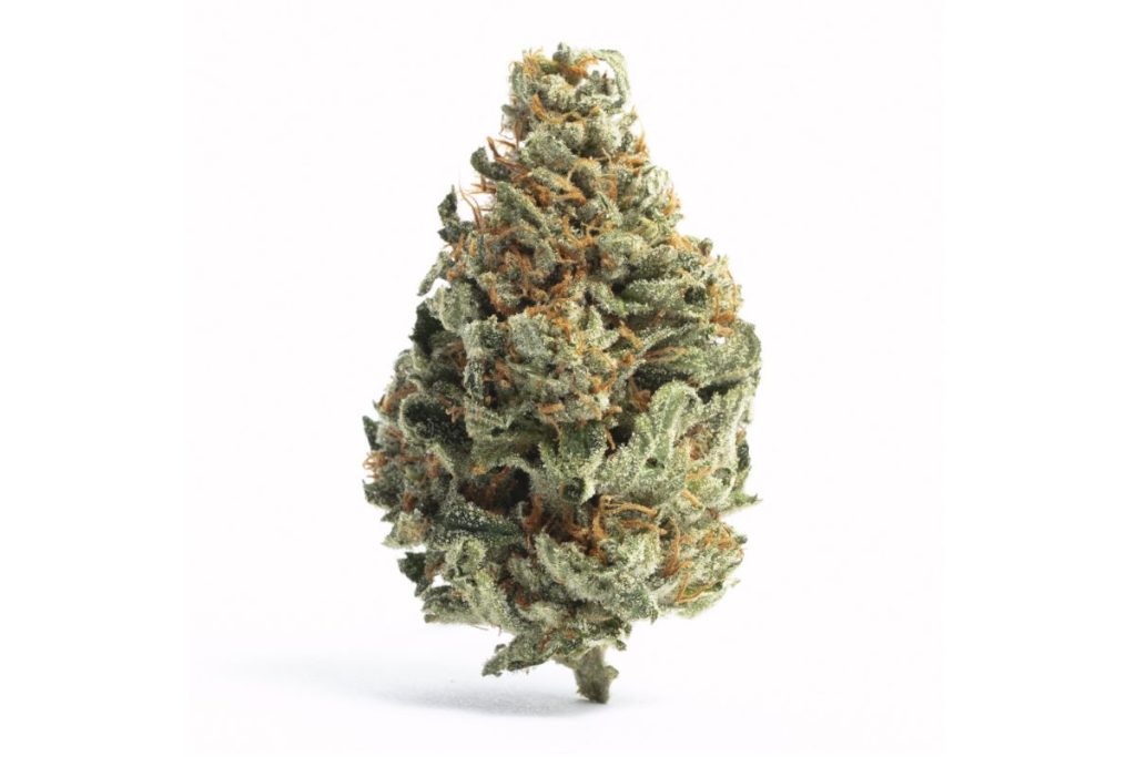 Is White Runtz strain worth buying? Learn more about this strain, including its effects, aroma, flavour and terpenes, to determine if it's worth trying.