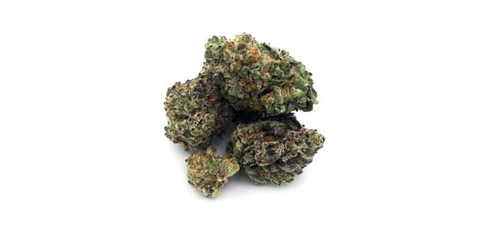 As mentioned, the White Runtz strain is a cross between two of the best-known Cookies strains, Zkittles and Gelato. The original Runtz is also a cross between Zkittles and Gelato.