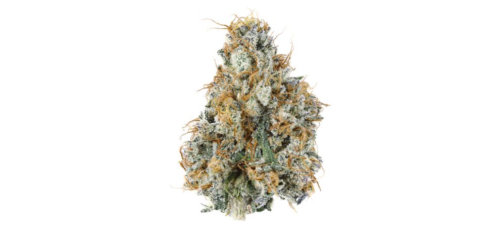 Hybrid pot offers a mix of Indica and Sativa effects, so these buds can relax you, keep you alert and awake, enhance mood levels, and more. The exact effects of these strains will depend on their unique genetics.