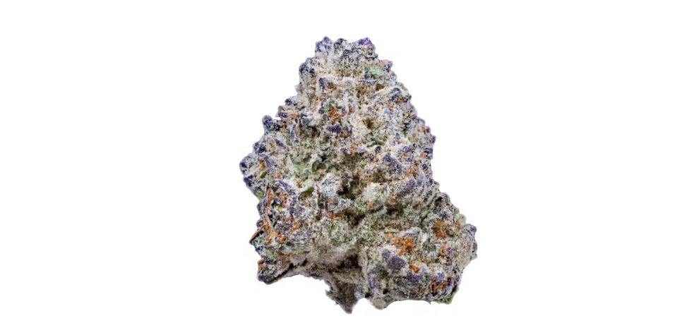 Slurricane is a product of skilled breeders from the House of Genetics, a renowned breeding agency that has produced some of the best strains on the market today. 