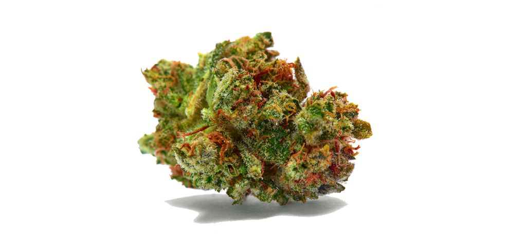 As mentioned, the Sour Diesel weed strain is one of the most iconic buds in the Canadian scene, with many believing that it's at the pinnacle of sativa strains.