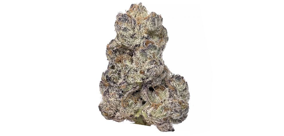 Unicorn Poop, also called UP is a popular hybrid strain known for its balanced effects, high THC levels and a unique high. This bud has unique attributes, including aroma and a delightful taste.