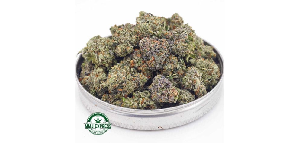 The Atomic Pink AAAA (Popcorn Nugs) is a top-rated Vancouver BC weed with around 26 to 27 percent THC content. 