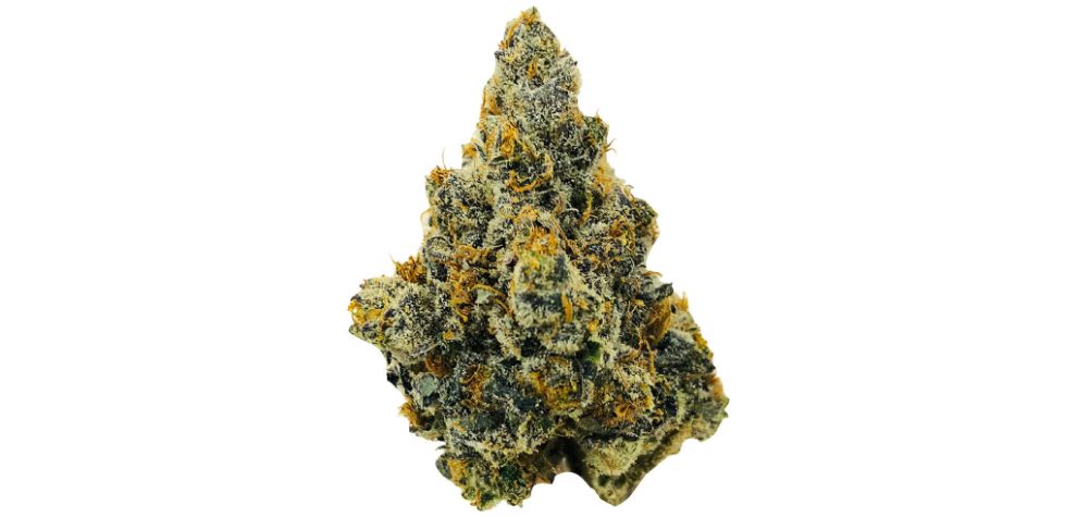 BC bud is also often linked to "craft cannabis," special marijuana strains that are carefully curated from seed to flower. 