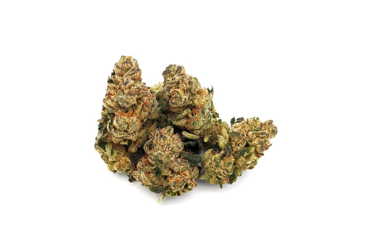 Why do people say that BC bud is the best weed in the world? Where can you buy a BC bud online? What are the best BC bud strains? Click here!